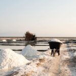 SAL MARINA1 SAL DE MAR