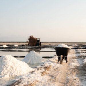 SAL MARINA1 SAL DE MAR