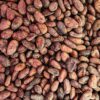 Cacao Fermentado 3 CACAO FERMENTADO 1 kg