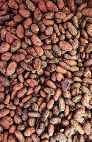 CACAO FERMENTADO 1 kg