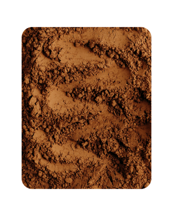 CACAO NATURAL EN POLVO